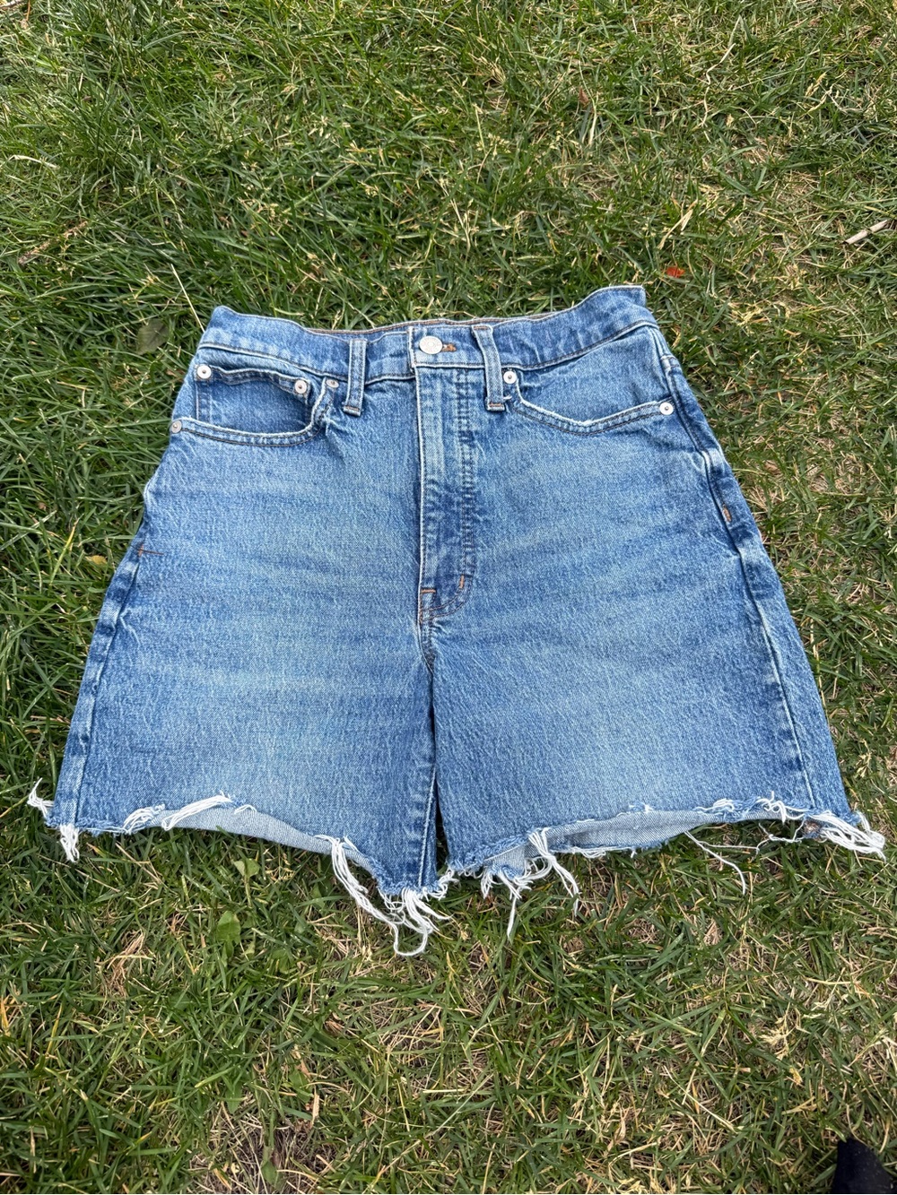 Madewell Light Blue High-Rise Frayed Denim Shorts